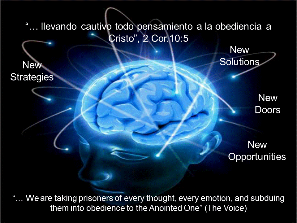 INSIDE YOUR BRAIN