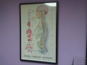SIST NERV AUTONOMO