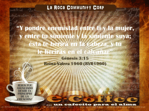 1eCoffee Gn.3.15 091213